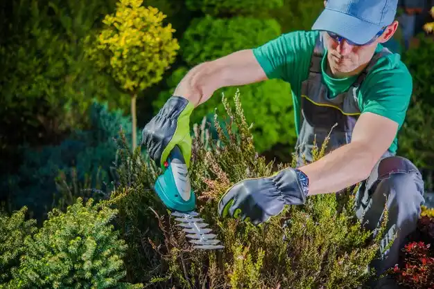 landscaping services Attleboro
